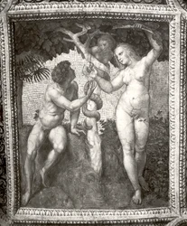 Adam and Eve, from the Stanza della Segnatura